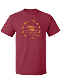 Chinese, Japanese, East Asian Studies T-shirt