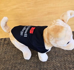 Pet Bandana with Logo - main view